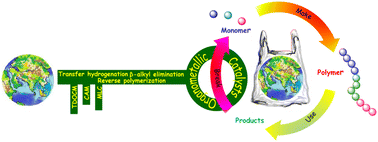 Graphical abstract: Depolymerization by transition metal complexes: strategic approaches to convert polymeric waste into feedstocks