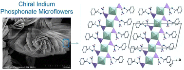 Graphical abstract: Homochiral layered indium phosphonates: solvent modulation of morphology and chiral discrimination adsorption