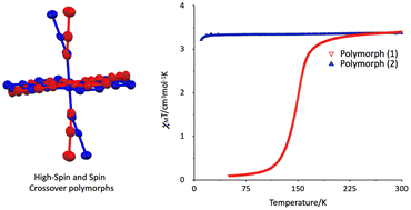 Graphical abstract: Angle-dependent spin crossover properties in polymorphic iron(ii) complexes based on pyridine–triazole derivatives