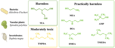 Graphical abstract: Ecotoxicity risk assessment of amines used in ‘switchable water’ and CO2-capturing processes