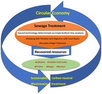 Graphical abstract: A review of carbon recovery in sewage treatment and analysis of product options for a typical water recycling plant