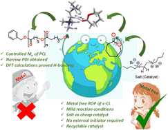 Graphical abstract: Green synthesis of poly ε-caprolactone using a metal-free catalyst via non-covalent interactions