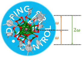 Graphical abstract: Record-high hyperpolarizabilities in atomically precise single metal-doped silver nanoclusters