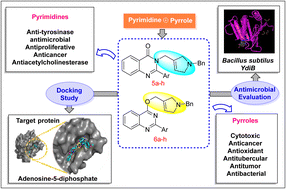 Graphical abstract: Design and synthesis of novel N-benzyl-2,5-dihydro-1H-pyrrole-linked benzopyrimidine conjugates as antimicrobial agents: study combining in vitro and in silico analysis