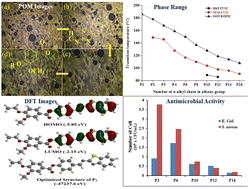 Graphical abstract: Exploring mesophase behavior and biological potential of liquid crystalline Schiff base derivatives of vanilloxy ester: experimental and theoretical studies