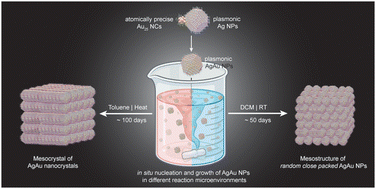 Graphical abstract: Nanocluster reaction-driven in situ transformation of colloidal nanoparticles to mesostructures