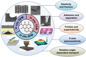 Graphical abstract: Mechanical and electromechanical properties of 2D materials studied via in situ microscopy techniques