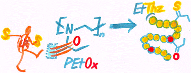 Graphical abstract: Towards the synthesis of polythiazolines: a post-polymerization approach