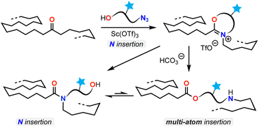 Graphical abstract: Backbone editing of oxidized polyethylene: insertion of oxygen and nitrogen atoms via hydroxyalkyl azide-mediated rearrangements