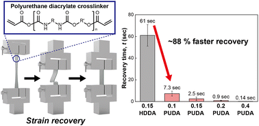 Graphical abstract: Polyurethane diacrylate incorporated pressure-sensitive adhesives with enhanced strain recovery