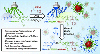 Graphical abstract: Divergent photoiniferter polymerization-induced self-assembly