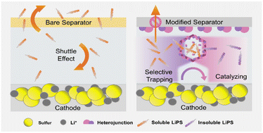 Graphical abstract: MOF-derived Co–Mo bimetallic heterostructures for the selective trapping and conversion of polysulfides in lithium–sulfur batteries