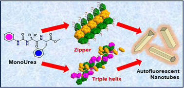 Graphical abstract: Designer pseudopeptides: autofluorescent polygonal tubes via Phe-zipper and triple helix