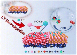 Graphical abstract: Electrochemical fabrication of multi-crystalline-amorphous heterogeneous single-atom electrocatalysts for alkaline oxygen evolution reaction