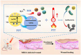 Graphical abstract: Regulation of band gap and localized surface plasmon resonance by loading Au nanorods on violet phosphene nanosheets for photodynamic/photothermal synergistic anti-infective therapy