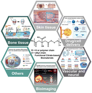 Graphical abstract: Development of citric acid-based biomaterials for biomedical applications