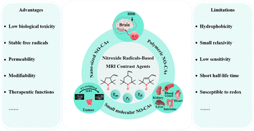 Graphical abstract: Research progress of nitroxide radical-based MRI contrast agents: from structure design to application