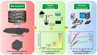 Graphical abstract: Fish scales inspired phase change composites with hierarchical porosity and enhanced thermal conductivity for passive thermal management