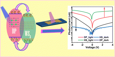 Graphical abstract: Facile in situ synthesis of double perovskite Cs2AgBiBr6/WS2 heterostructure and interfacial charge transfer mediated high-performance ultraviolet photodetection