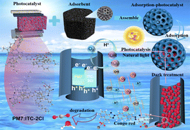 Graphical abstract: Carbon-based binary organic photocatalysts for rapid dye degradation under weak light: performance and mechanistic study