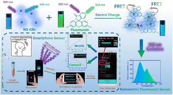 Graphical abstract: Development of a NS-CDs/fluorescein ratiometric fluorescent sensor-integrated smartphone platform for rapid and specific detection of Mn(vii) and captopril