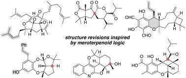 Graphical abstract: Structure revision of meroterpenoid natural products enabled by biomimetic total synthesis