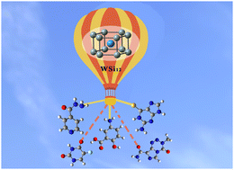 Graphical abstract: On the potential of the WSi12 superatom as a drug carrier: a DFT study