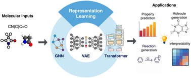 Graphical abstract: Molecular representation learning: cross-domain foundations and future Frontiers