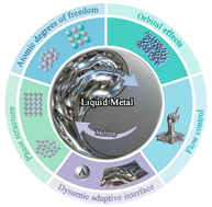 Graphical abstract: Dynamic interface catalysis and carbon dioxide reduction of liquid metals