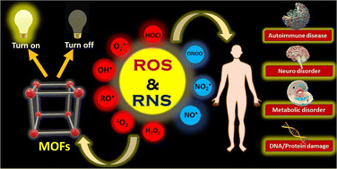 Graphical abstract: Luminescent MOF-based sensors engineered for monitoring ROS and RNS: recent advances and perspective