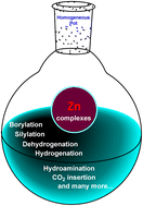 Graphical abstract: Well-defined Zn-complexes in homogeneous catalysis: recent advances and future scope