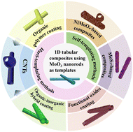 Graphical abstract: Recent advances in one-dimensional tubular composites with MoO3-based micro/nanorods as templates