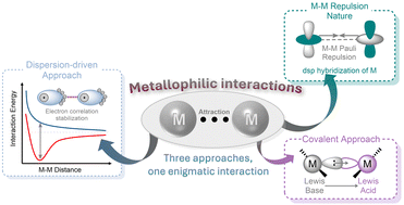 Graphical abstract: A journey through metallophilic interactions: computational approaches and insights
