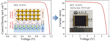 Graphical abstract: A universal strategy toward homogenized metal oxide/perovskite contact for efficient solar cells and modules fabricated in ambient air