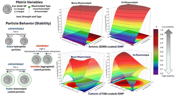 Graphical abstract: Quantifying biolipid (rhamnolipid) effects on the aggregation behavior of engineered nanoparticles