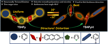 Graphical abstract: Protonation-driven structural deformation in a conformationally twisted pyridyl-linked AIEgen: a platform to detect polyamines and nicotine