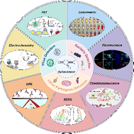 Graphical abstract: Research advances in the diagnosis of infectious disease by aptasensor technology