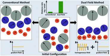 Graphical abstract: Dual field magnetic separation for improved size fractionation of magnetic nanoparticles