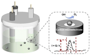 Graphical abstract: An evaluation of the size-dependent electrocatalytic activity of single IrO2 nanoparticles via nano-impact electrochemistry