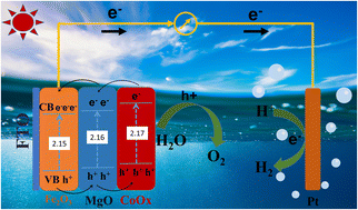 Graphical abstract: MOF-derived CoOx/MgO dual modification boosting hematite photoelectrocatalysis
