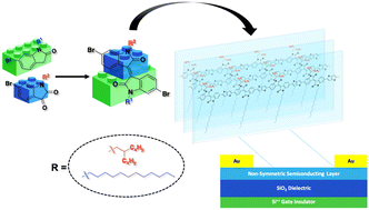 Graphical abstract: A versatile synthetic strategy for non-symmetric isoindigo polymers via modular sidechain engineering