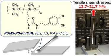 Graphical abstract: Enhancement of the adhesion of polysiloxane-based adhesives through catechol functionalization