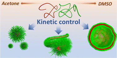 Graphical abstract: From spheres to worms to vesicles: kinetic control of nanostructure formation from the same block copolymer