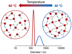 Graphical abstract: Dichotomous behavior of water in binary mixtures with a turning point between 40 and 60 °C