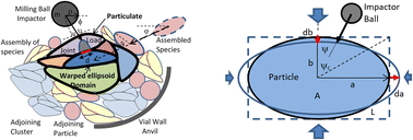 Graphical abstract: Predictive stochastic modeling of mechanically alloyed particle size and shape