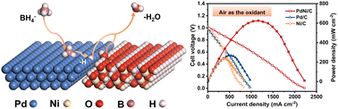 Graphical abstract: Enhanced borohydride oxidation on a Pd–Ni(OH)2/C catalyst via hydroxyl enrichment on nearby active sites