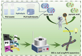 Graphical abstract: Multisite synergism-induced electron regulation of high-entropy alloy nanowires for electrocatalytic reforming of polylactic acid plastic hydrolysate