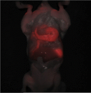 Graphical abstract: The synthesis and optical properties of Cu–In–S/ZnS nanocrystals in buffer solution for near-infrared fluorescence imaging