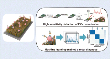 Graphical abstract: An artificial intelligence-enhanced early ovarian cancer diagnosis biosensor
