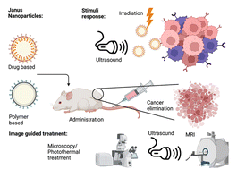 Graphical abstract: Amphiphilic Janus nanoparticles for image-guided cancer treatment: cell internalization mechanism, molecular action, challenges, and outlook